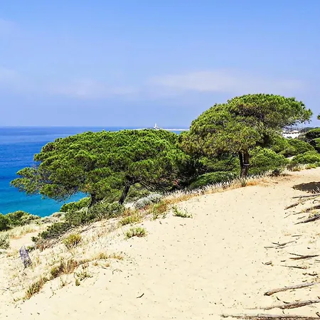 Stunning In * Conil De La Frontera